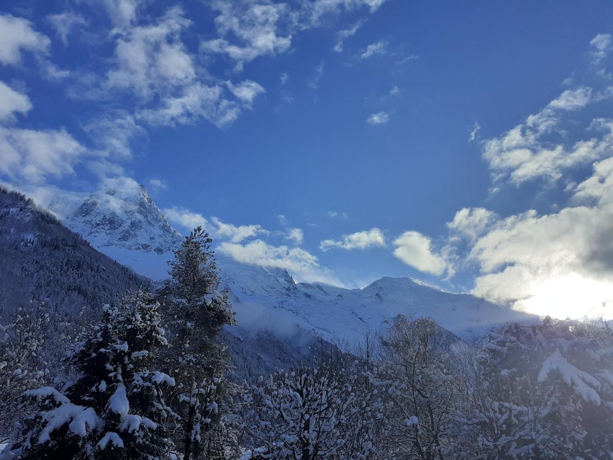 Studio Quartier Calme Centre Ville Vue Mont Blanc 霞慕尼 外观 照片