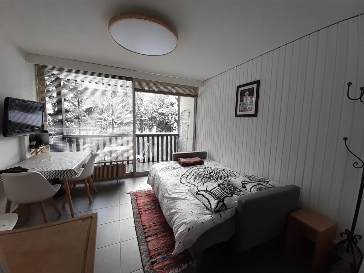 Studio Quartier Calme Centre Ville Vue Mont Blanc 霞慕尼 外观 照片