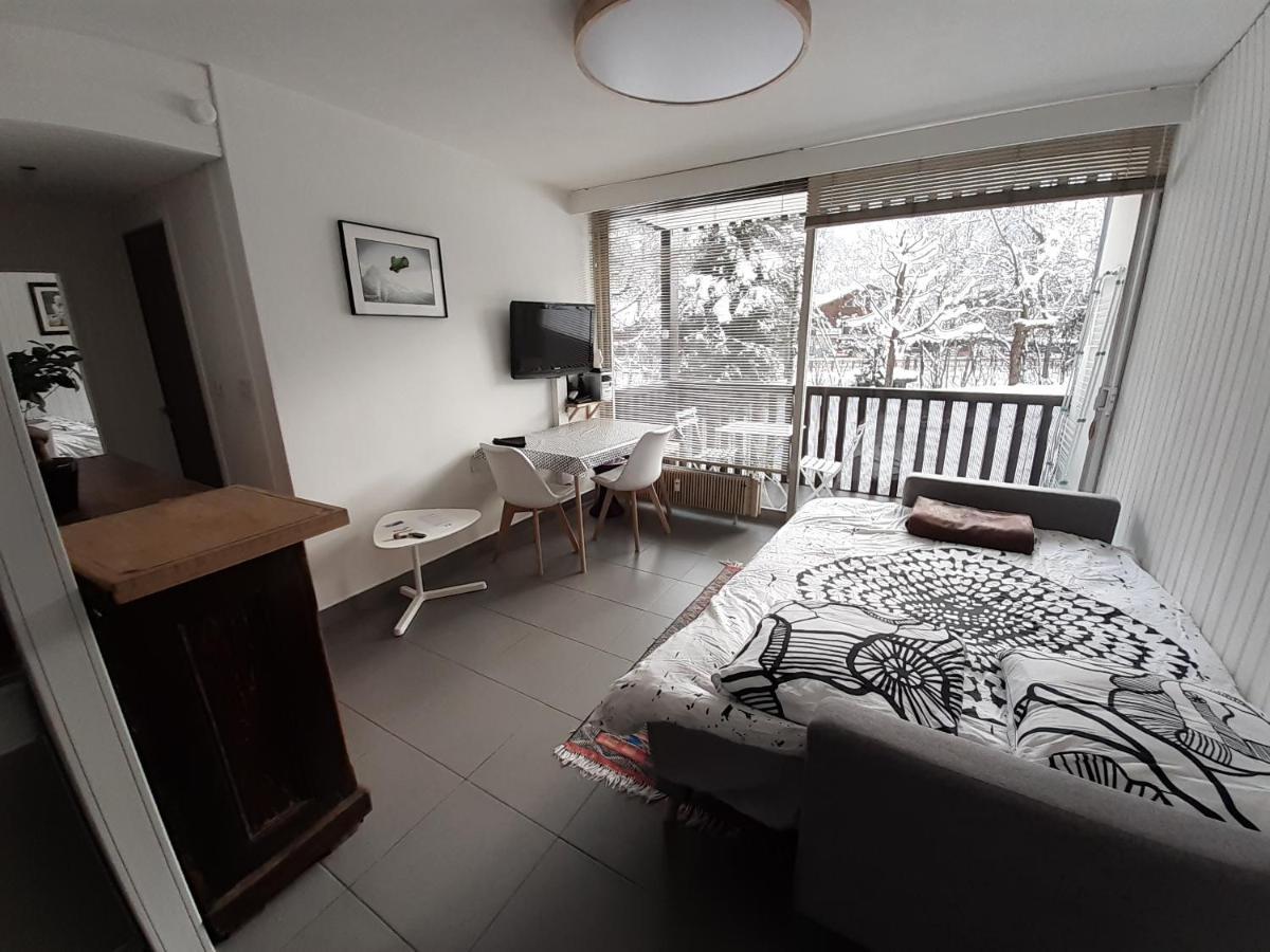 Studio Quartier Calme Centre Ville Vue Mont Blanc 霞慕尼 外观 照片